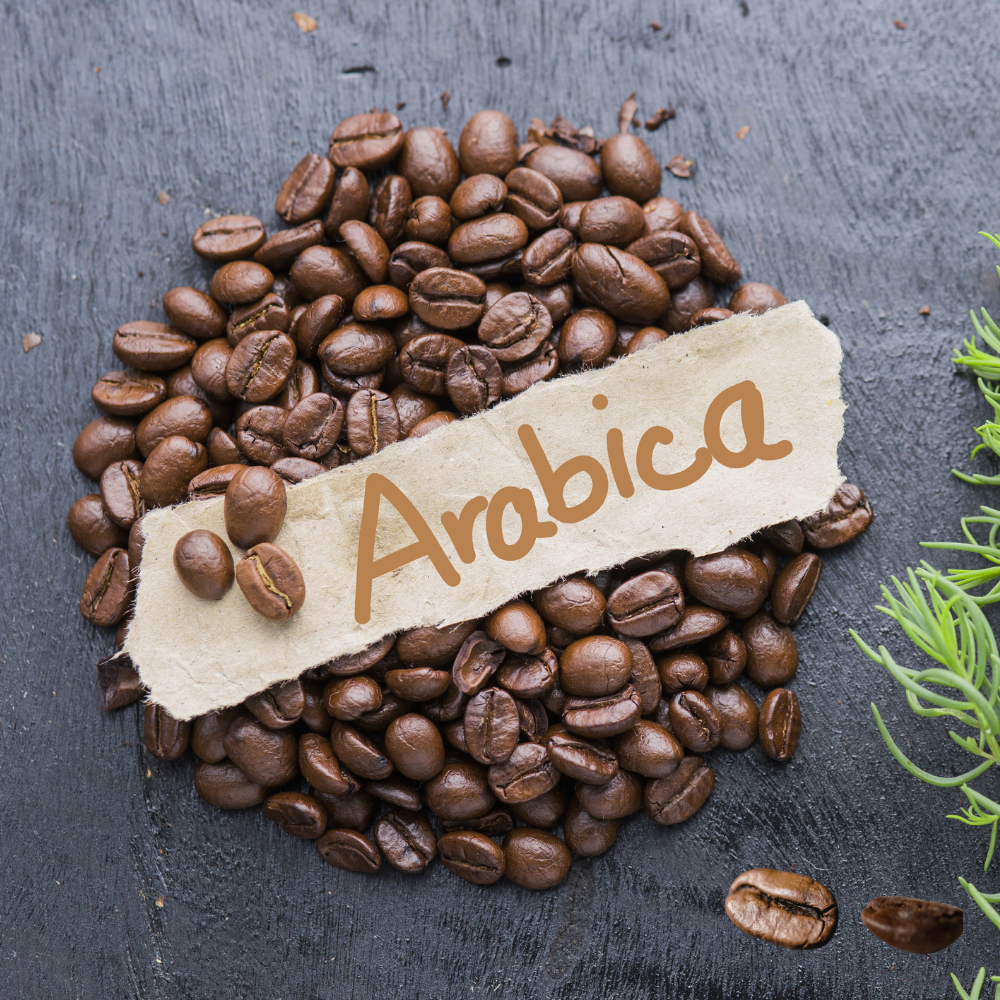 Speciality Arabica Coffee Beans