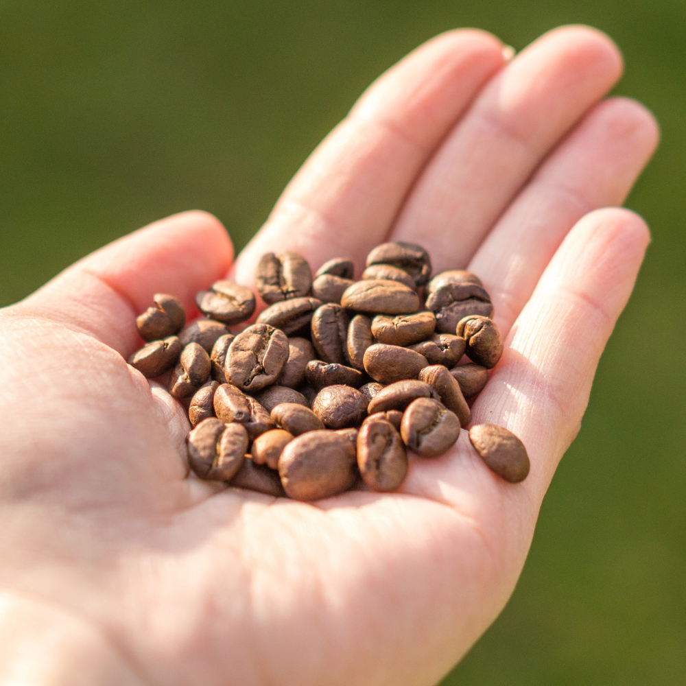 Special Blend Coffee Beans