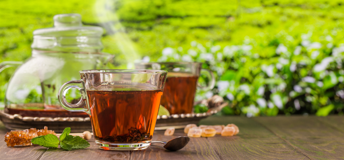 green tea leaf garden